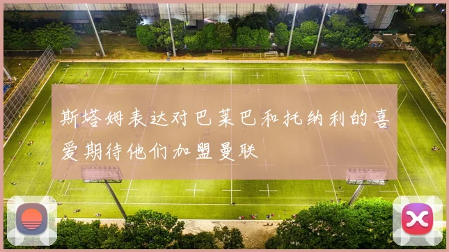 斯塔姆表达对巴莱巴和托纳利的喜爱期待他们加盟曼联