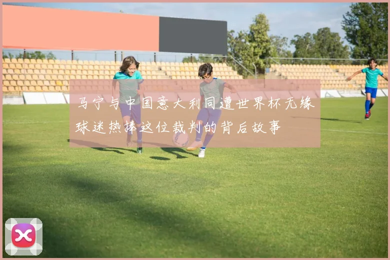 马宁与中国意大利同遭世界杯无缘球迷热捧这位裁判的背后故事